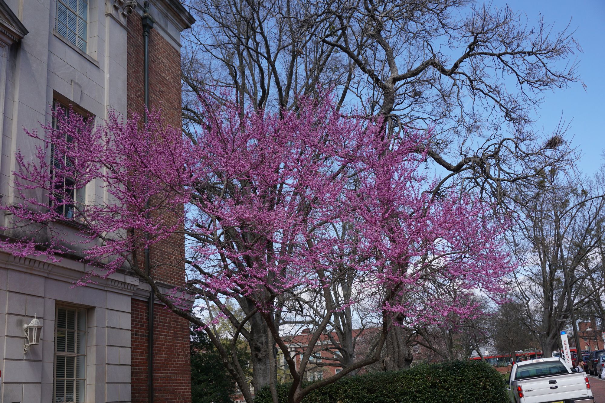 Christmas is coming ....!