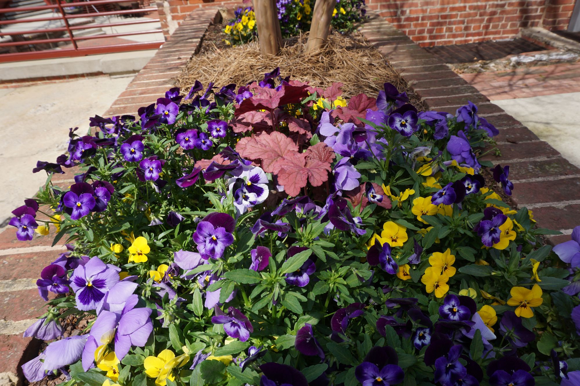 Christmas is coming ....!