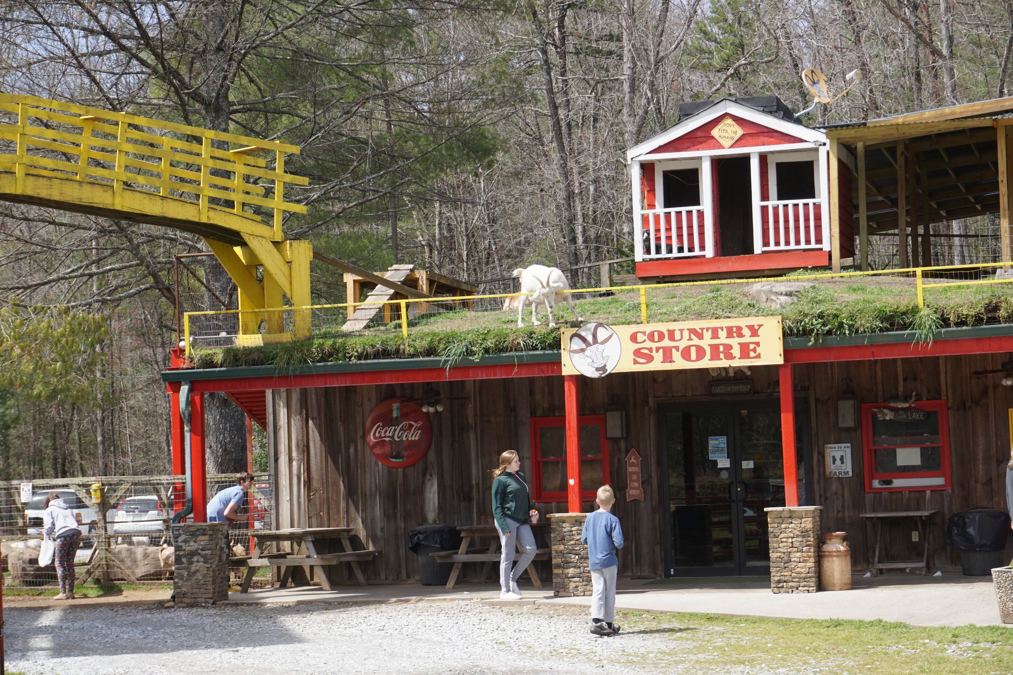 Christmas is coming ....!