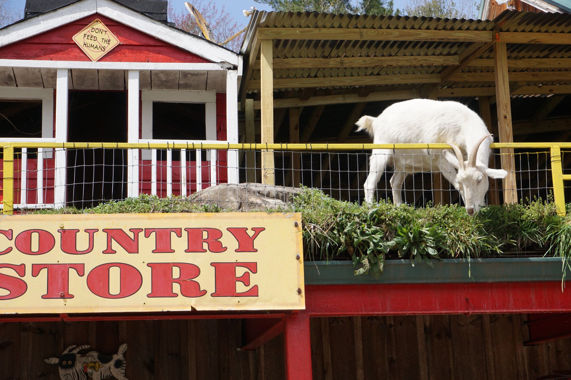 Christmas is coming ....!