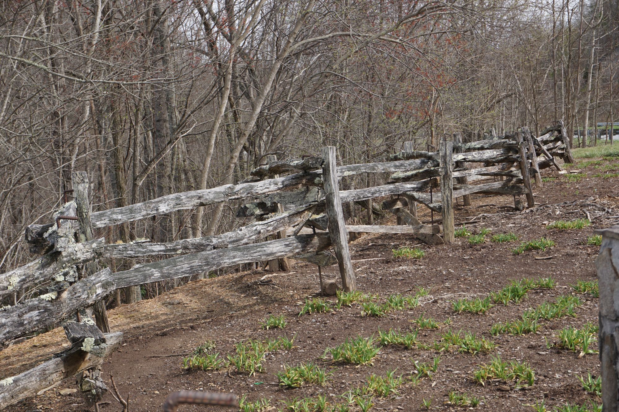 Christmas is coming ....!