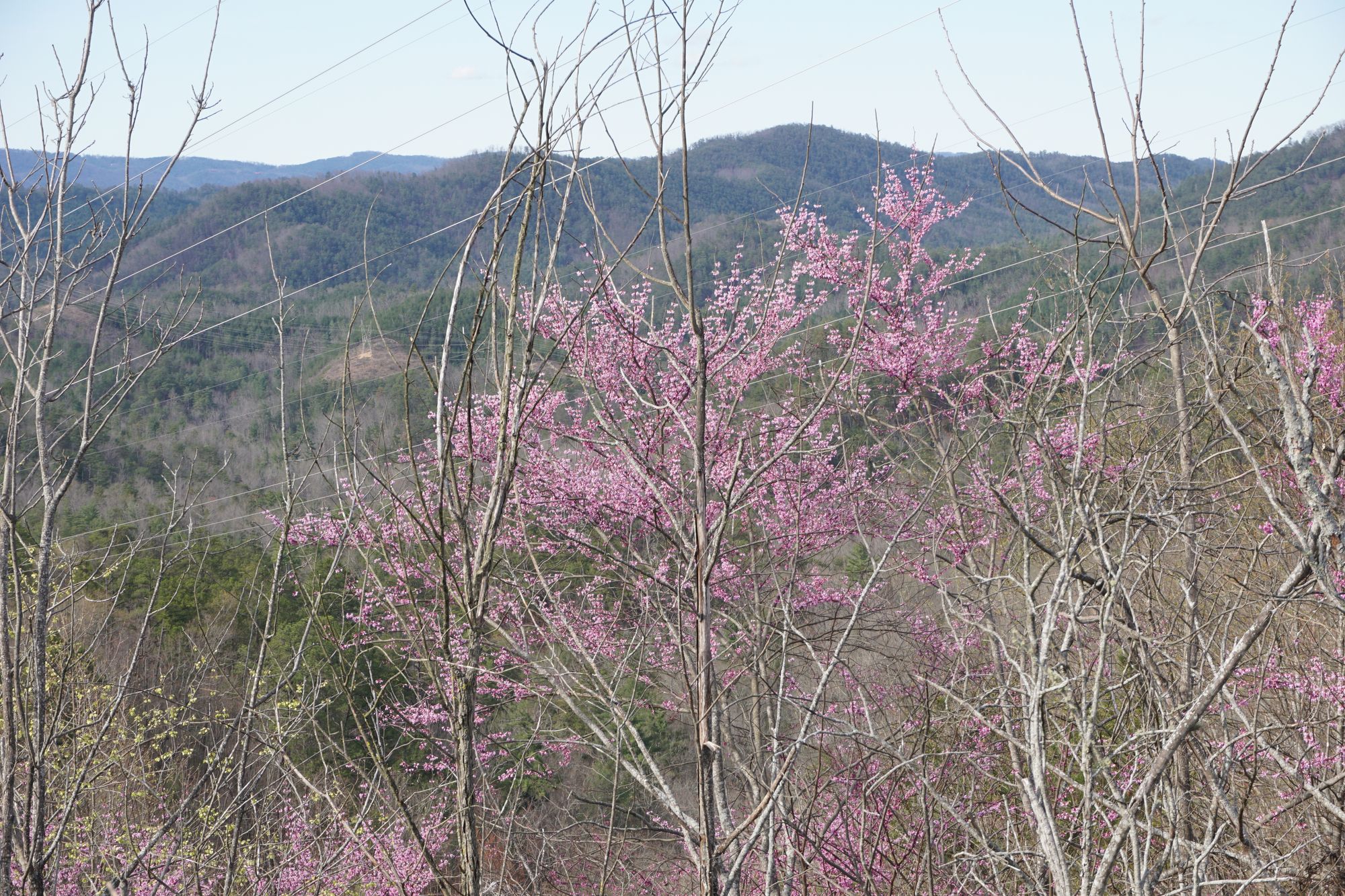 Christmas is coming ....!