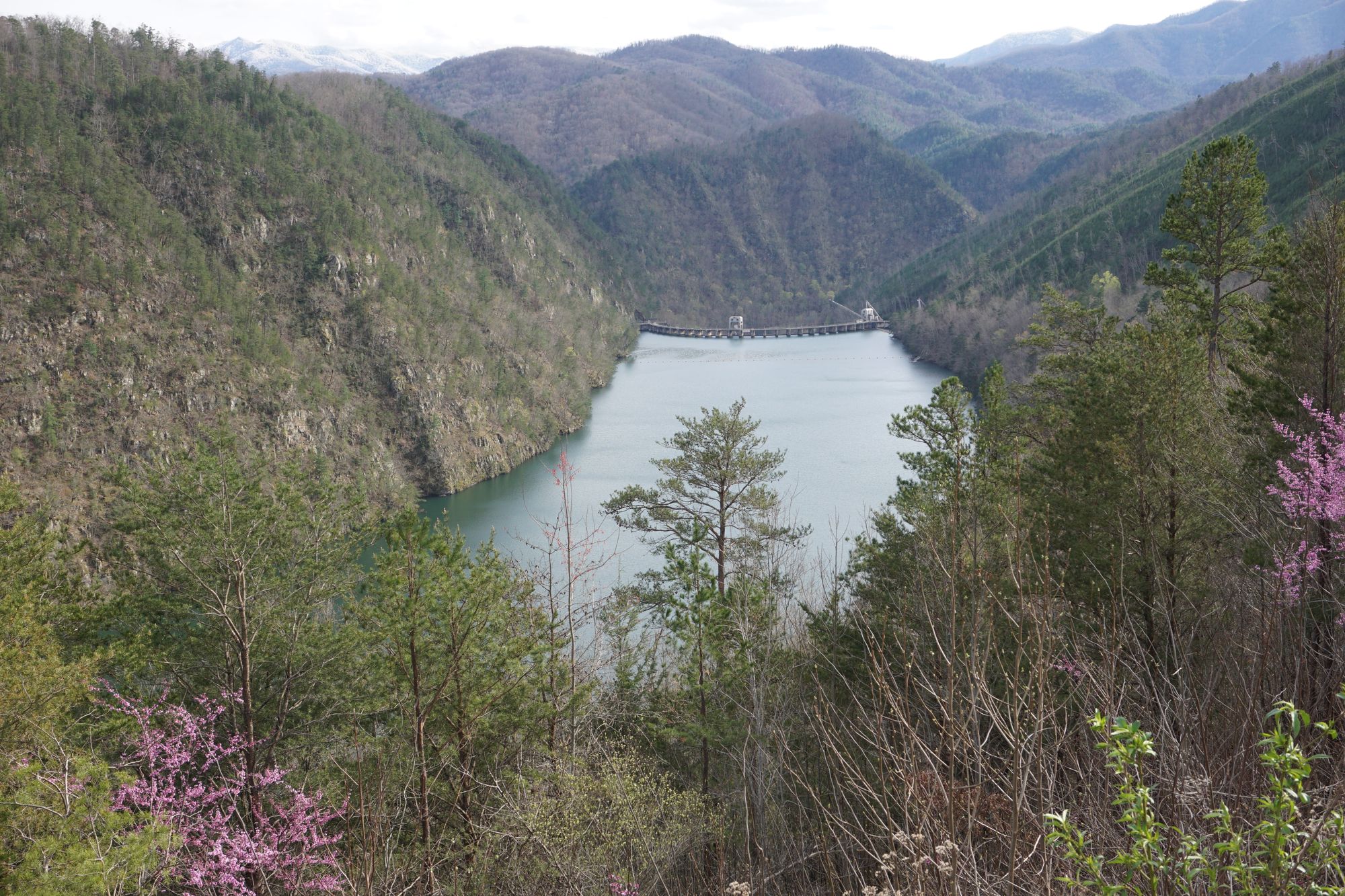 Christmas is coming ....!