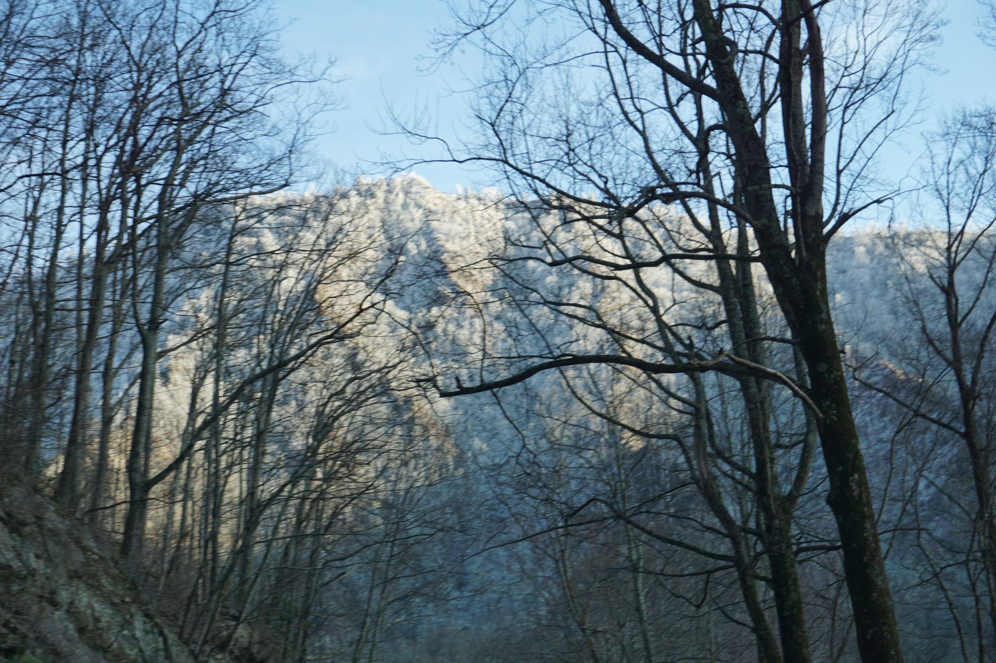 Christmas is coming ....!