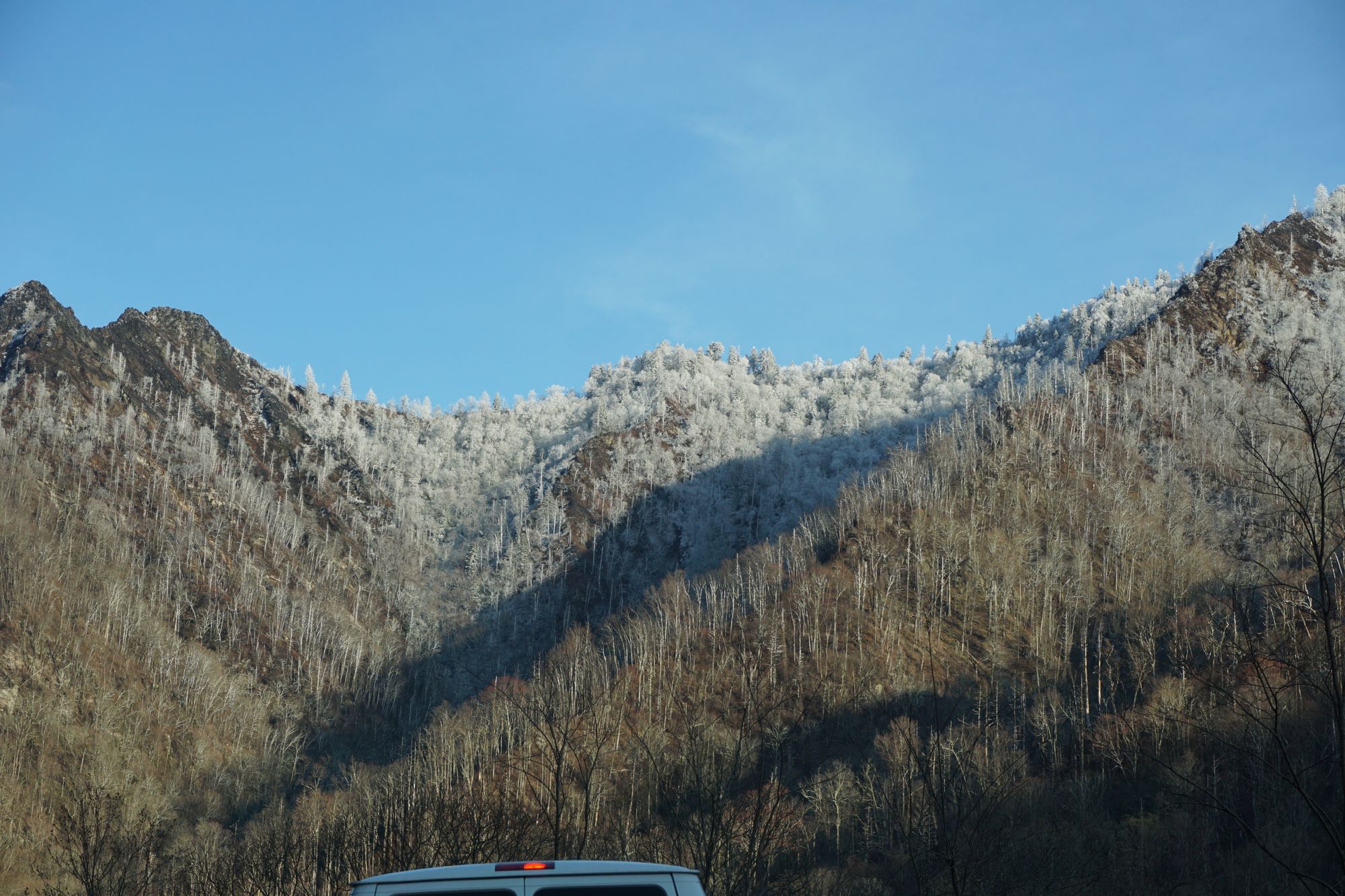 Christmas is coming ....!