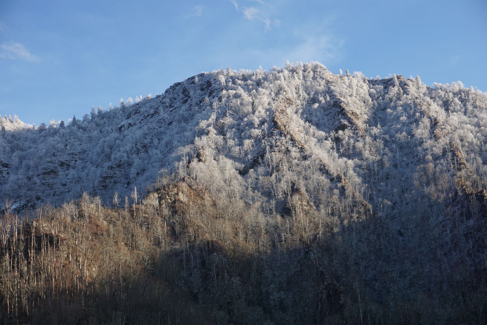 Christmas is coming ....!