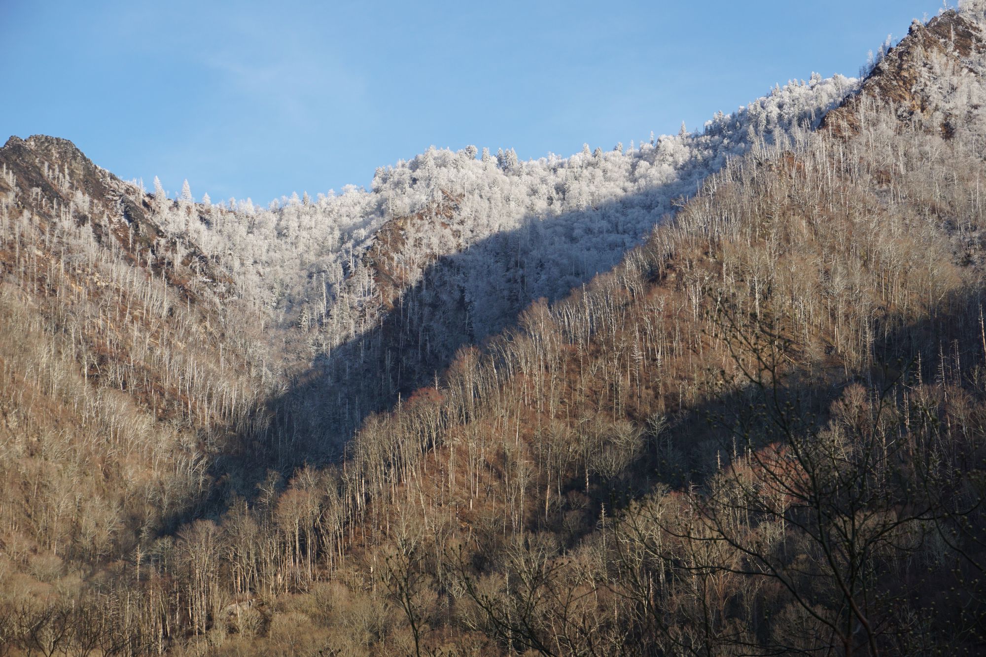 Christmas is coming ....!