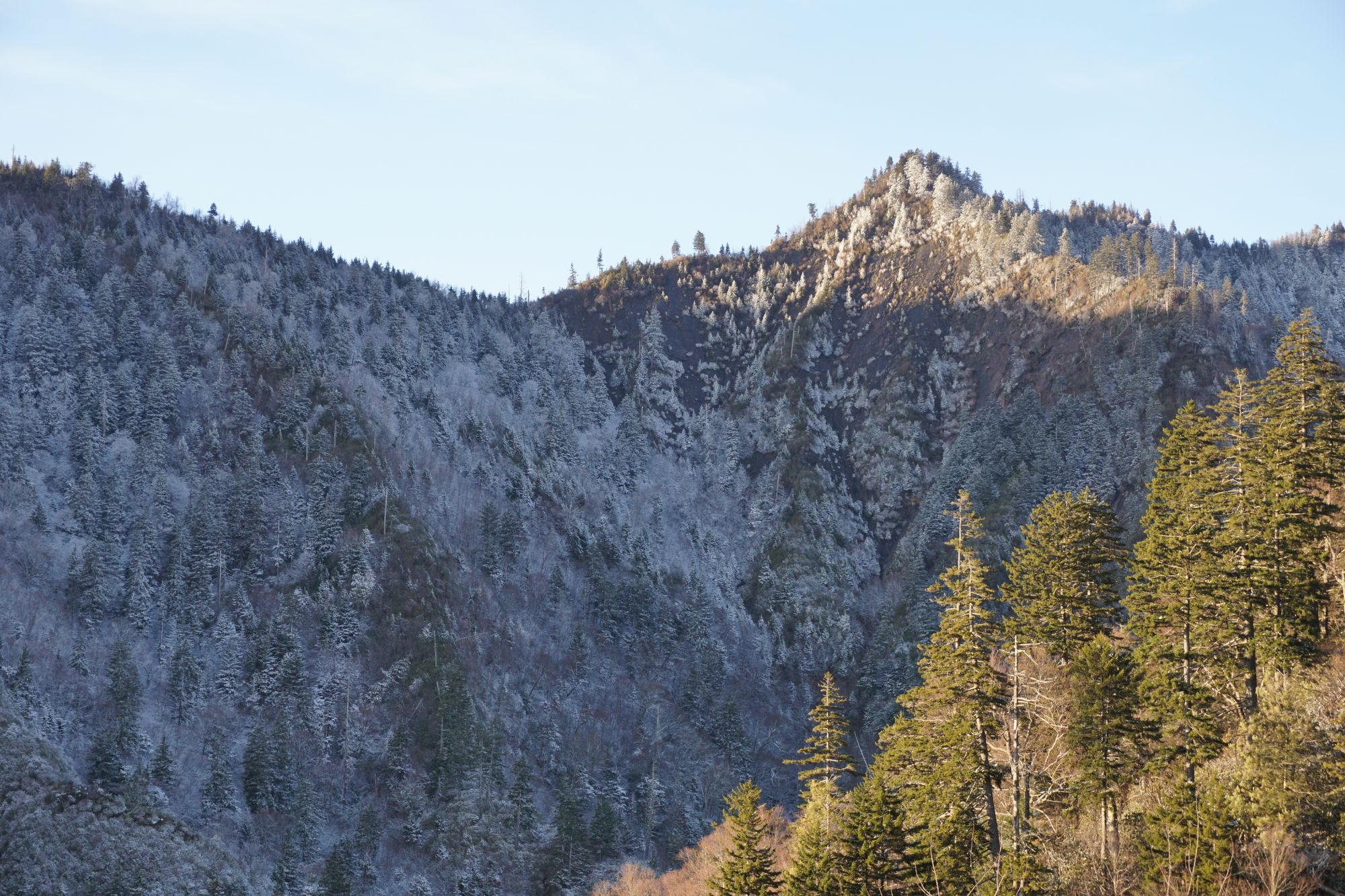 Christmas is coming ....!