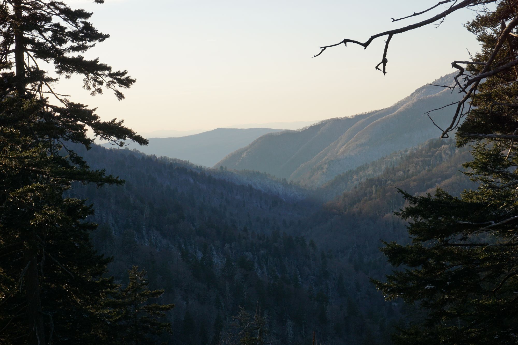 Christmas is coming ....!