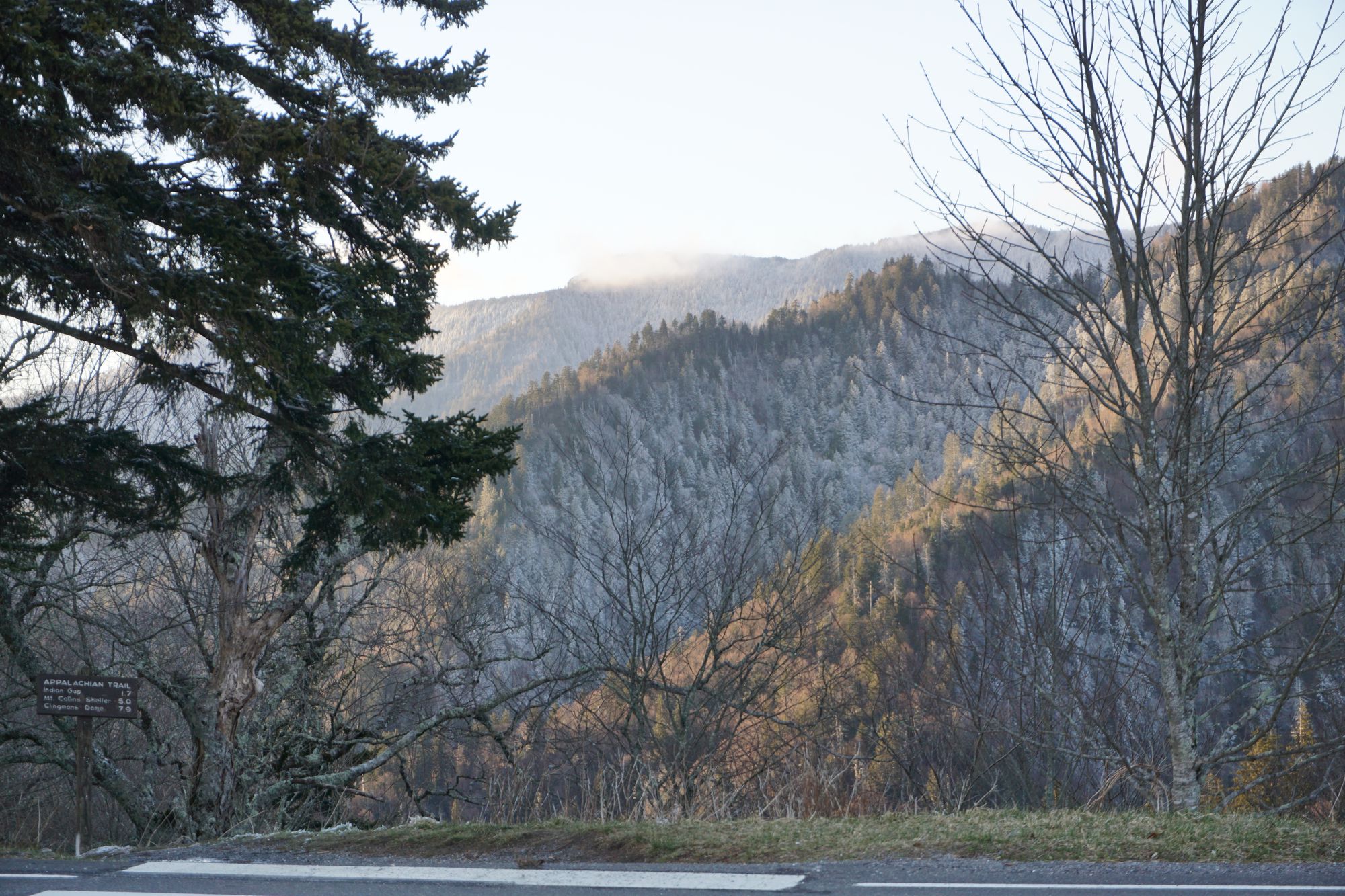 Christmas is coming ....!