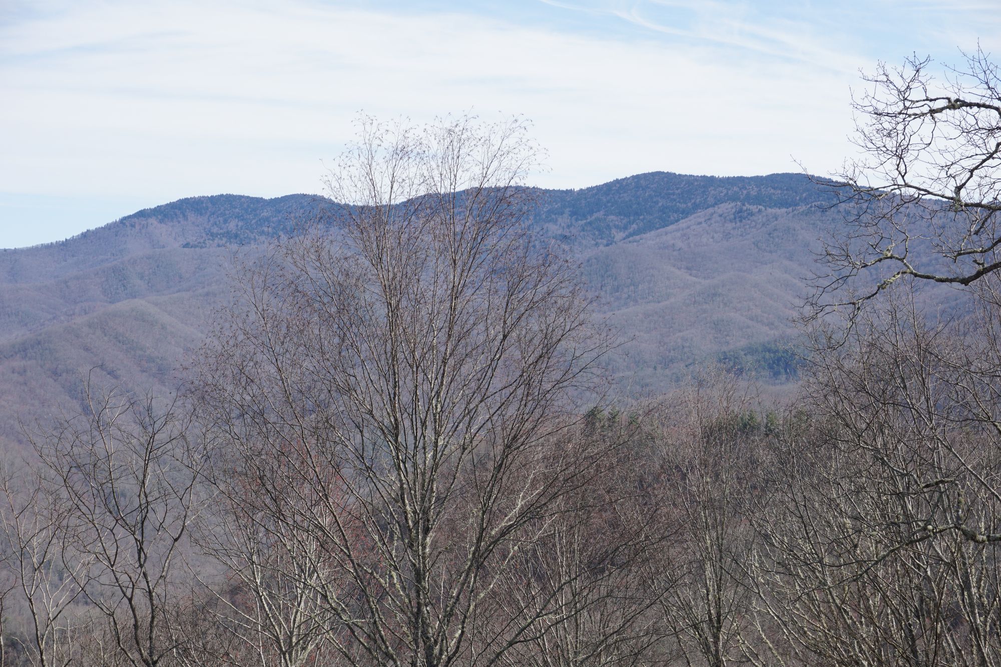 Christmas is coming ....!