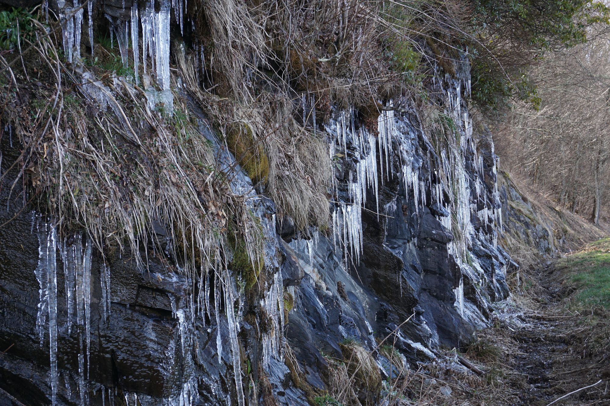 Christmas is coming ....!