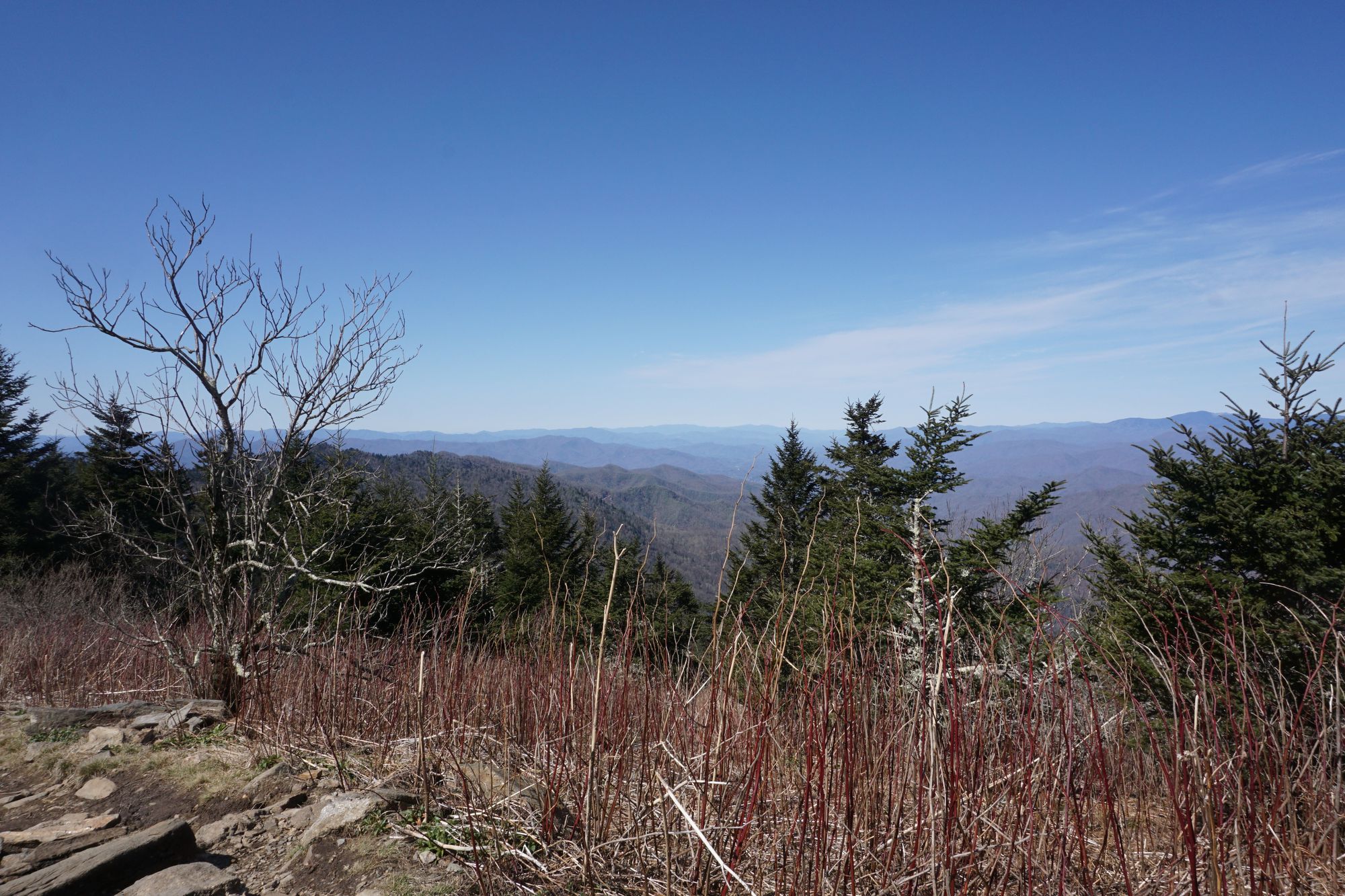 Christmas is coming ....!