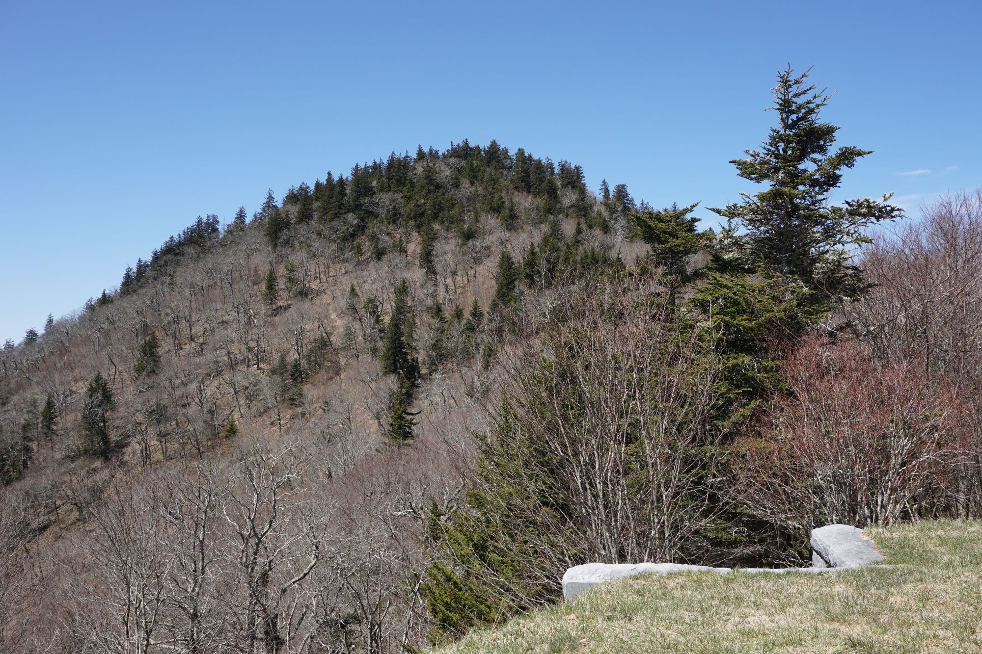 Christmas is coming ....!