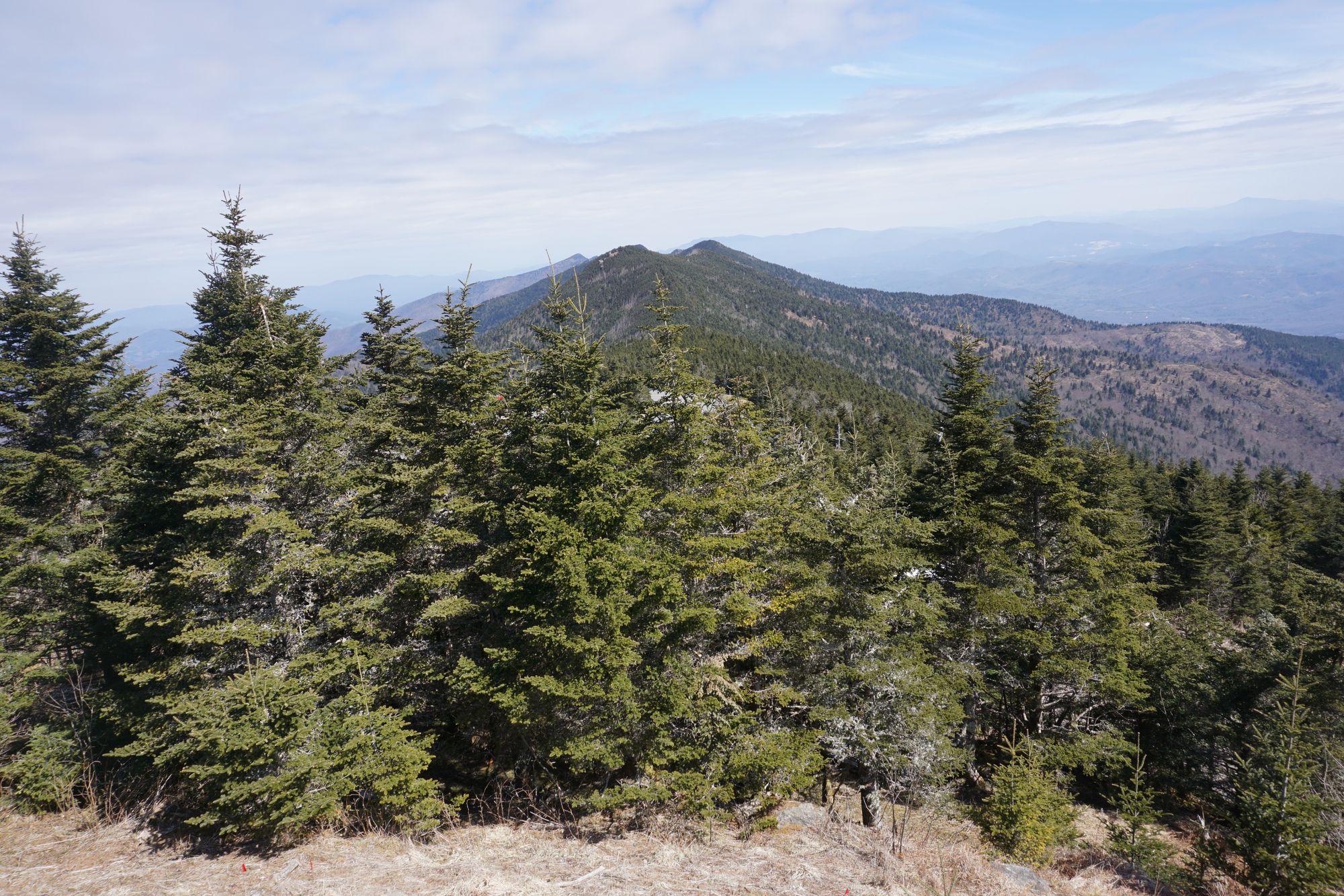 Christmas is coming ....!