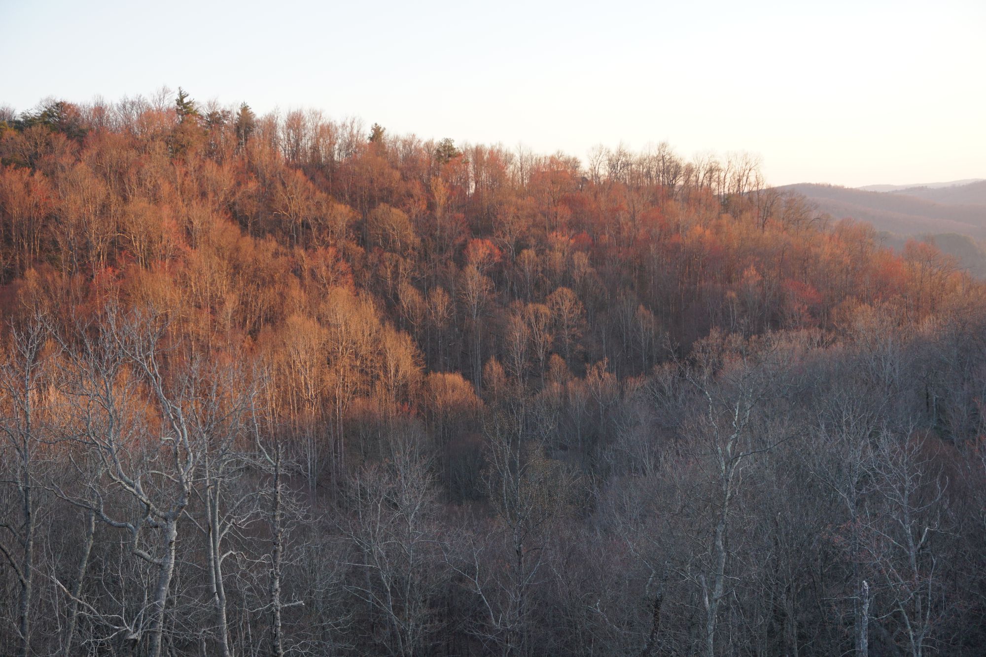 Christmas is coming ....!