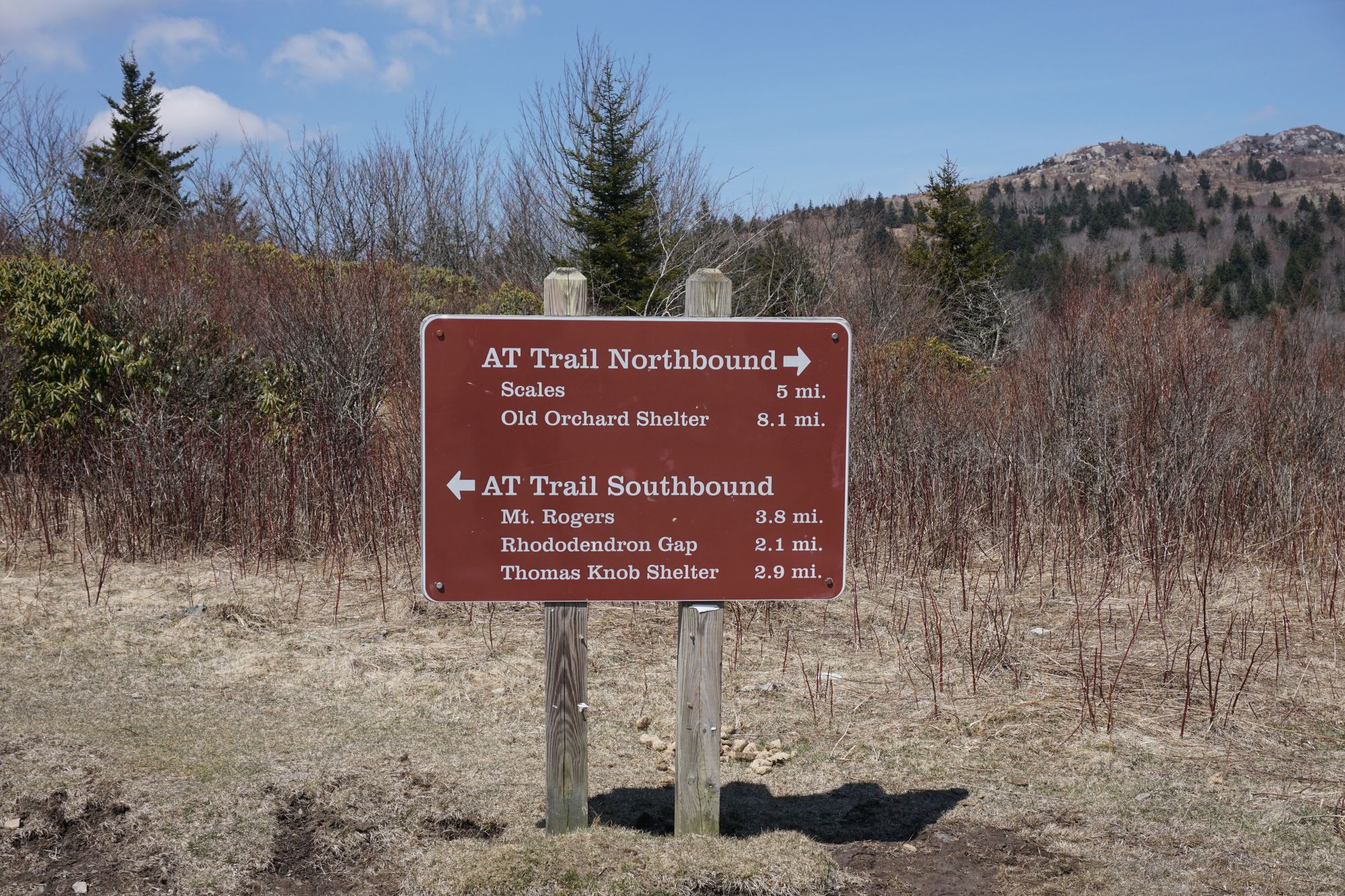 Christmas is coming ....!