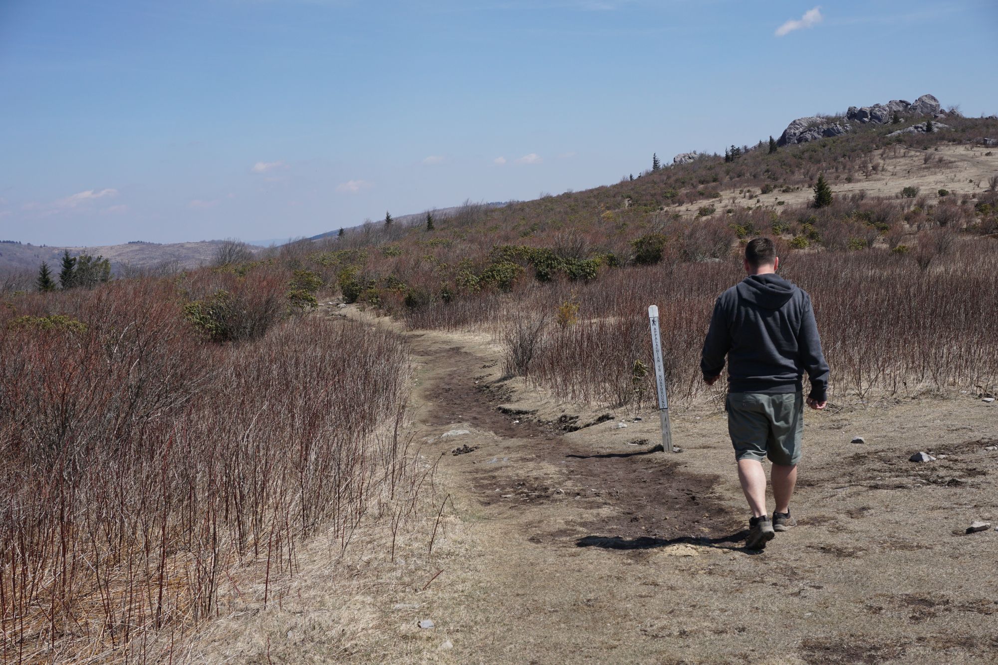 Christmas is coming ....!