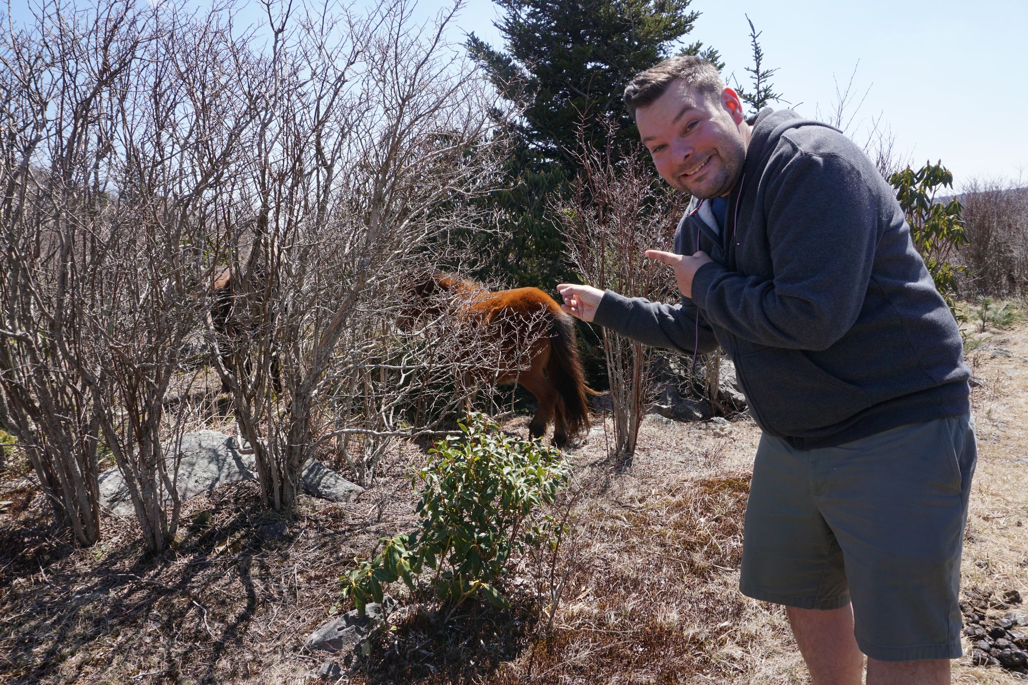 Christmas is coming ....!