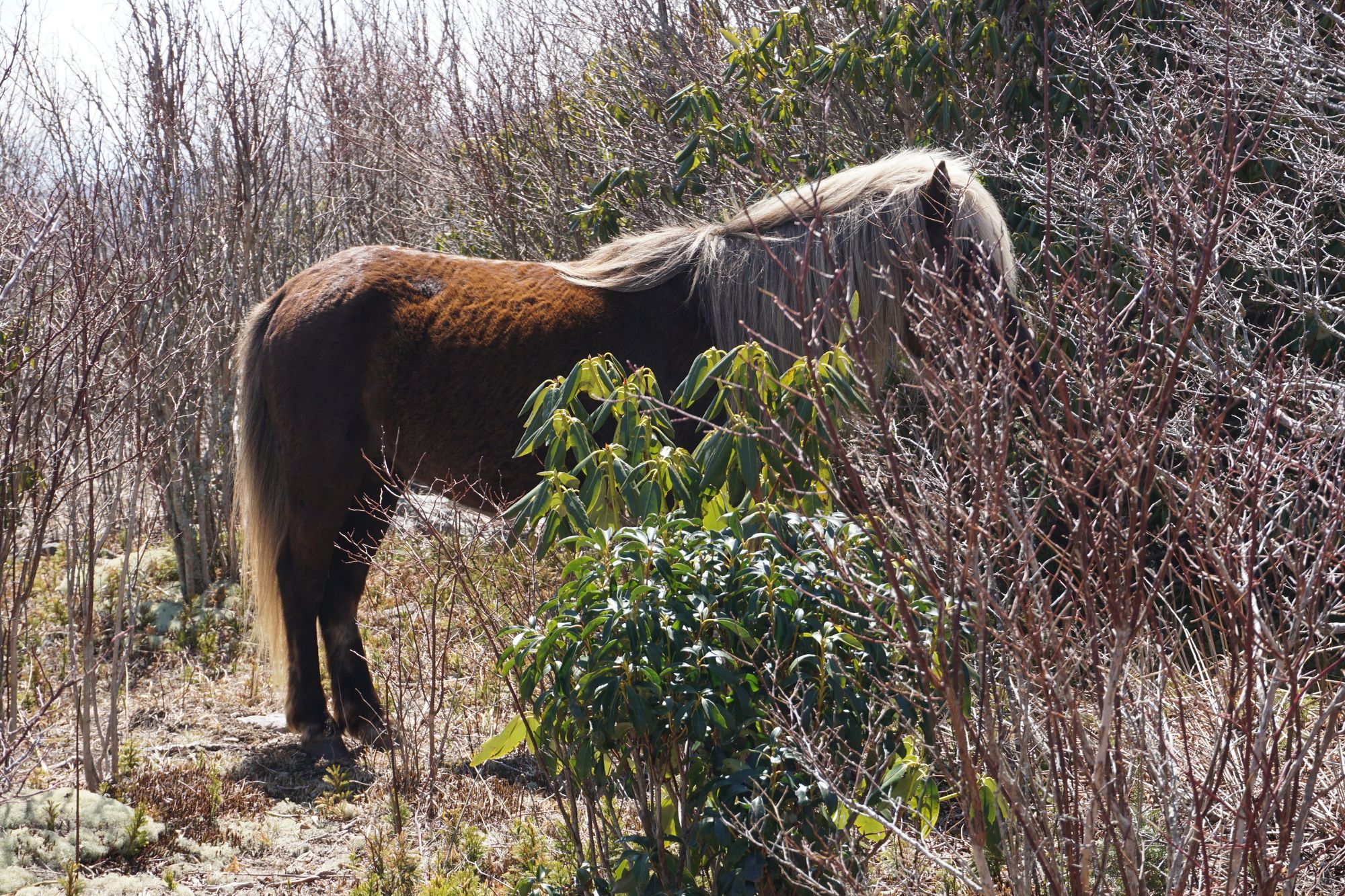 Christmas is coming ....!