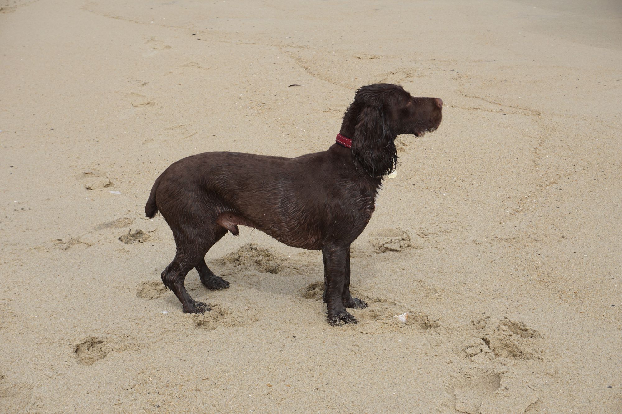 Christmas is coming ....!