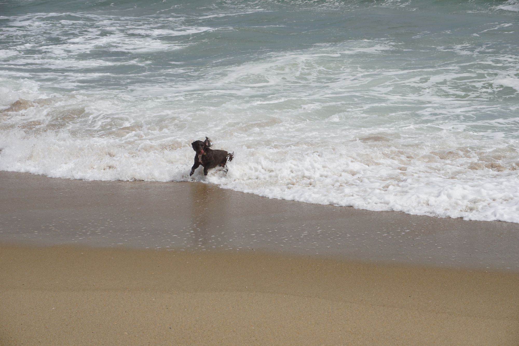 Christmas is coming ....!